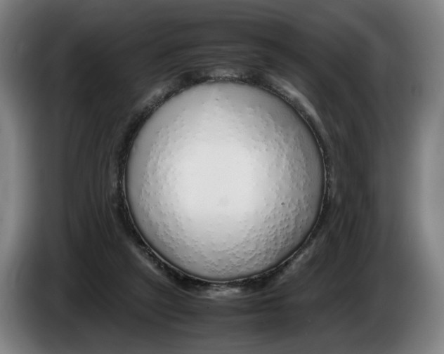 X0000086230257200704191806