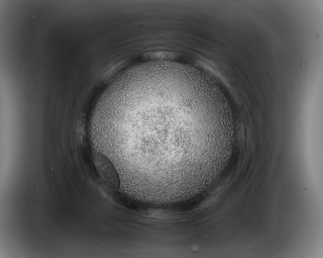 X0000086230259200704191806