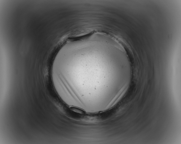 X0000086230260200704191806