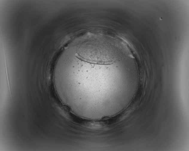 X0000086230261200704191806