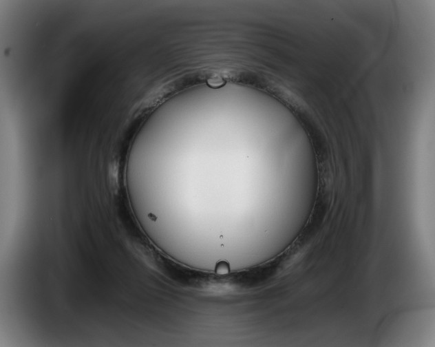 X0000086230262200704191806