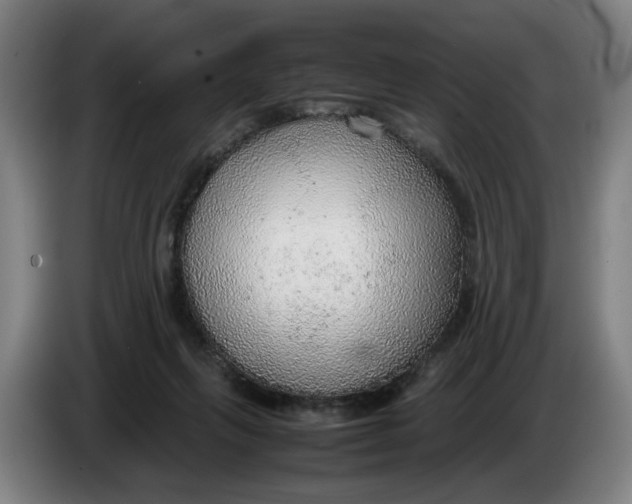 X0000086230263200704191806