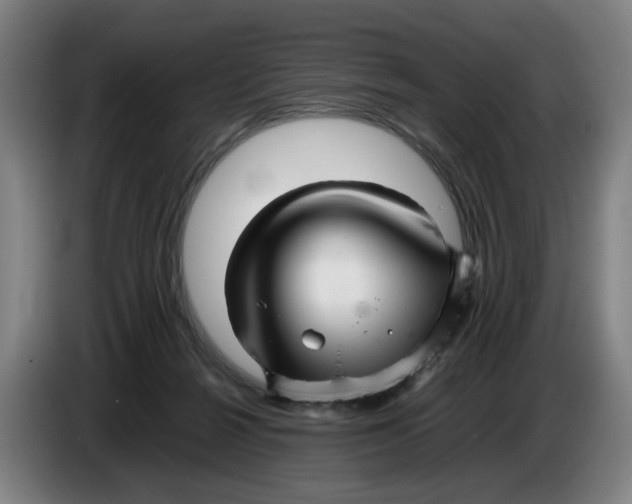 X0000086230264200704191806