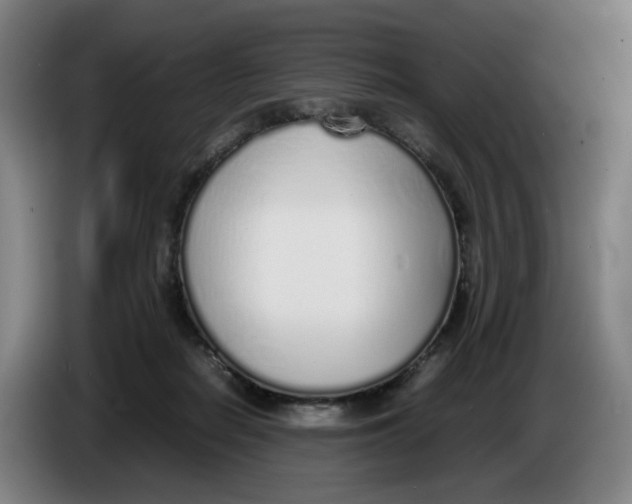 X0000086230266200704191806