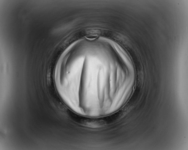 X0000086230267200704191806