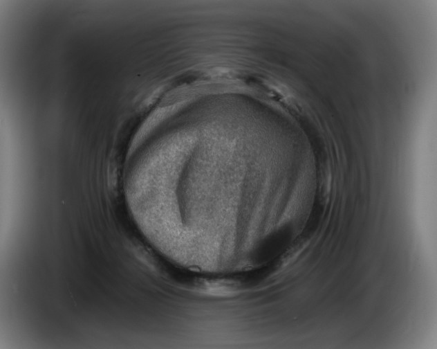 X0000086230268200704191806