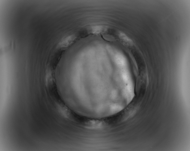 X0000086230272200704191806