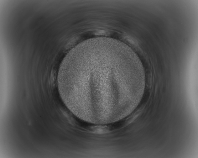 X0000086230273200704191806