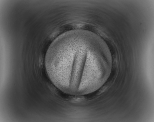 X0000086230274200704191806