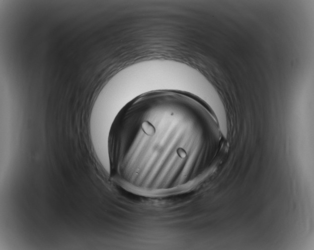 X0000086230276200704191806