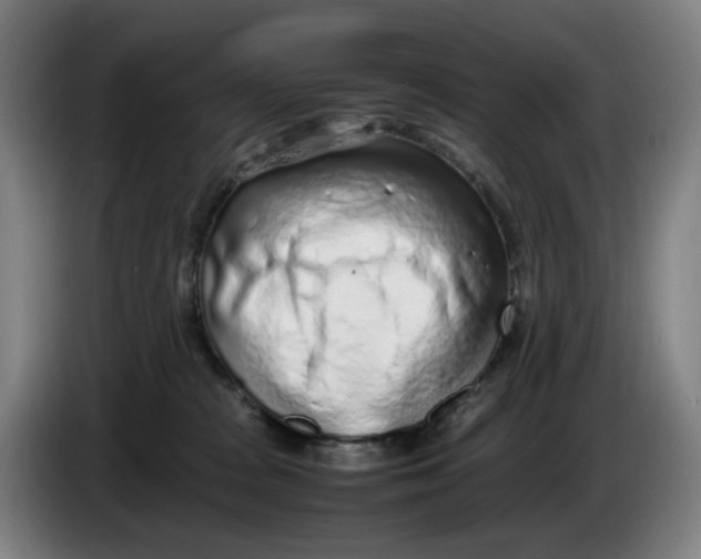 X0000086230277200704191806