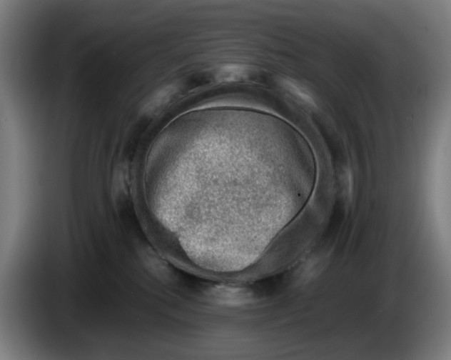 X0000086230280200704191806