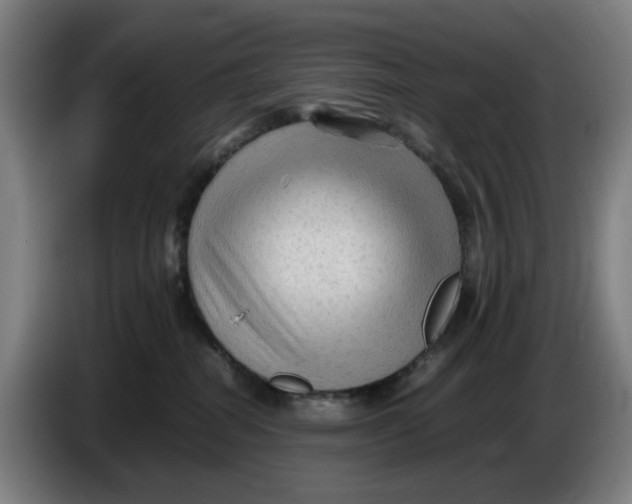 X0000086230282200704191806