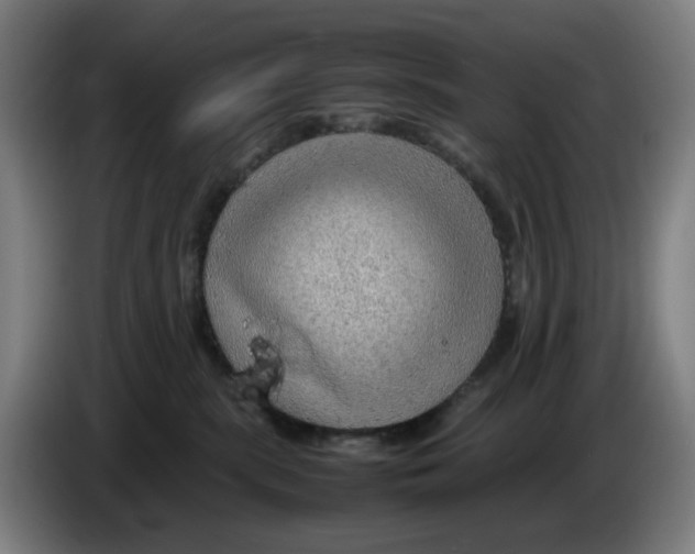 X0000086230283200704191806