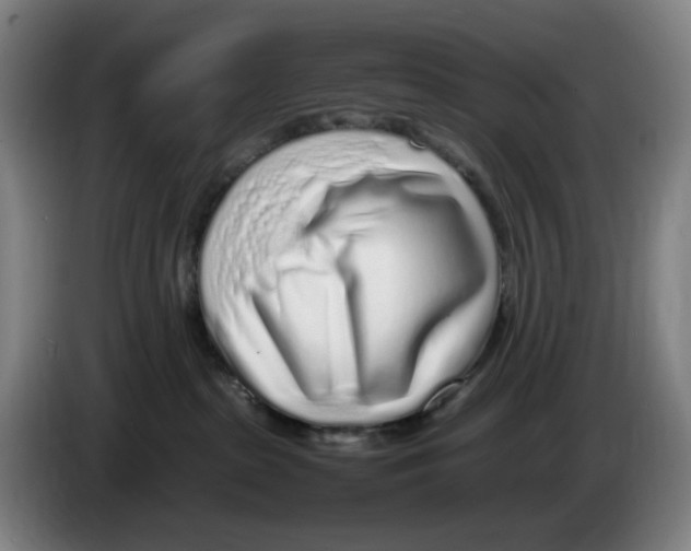 X0000086230285200704191806