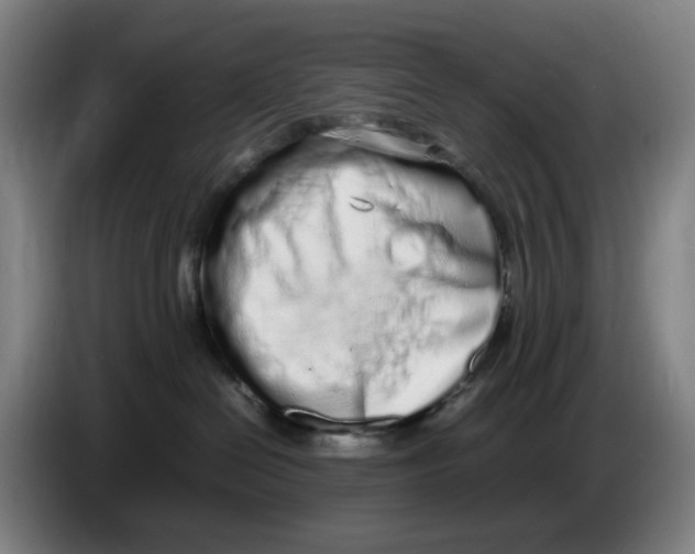 X0000086230286200704191806