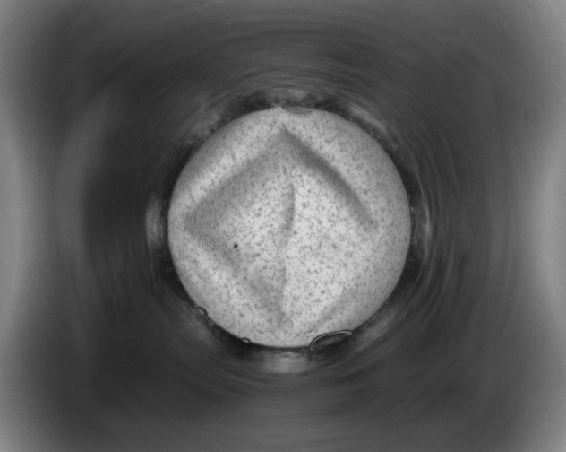 X0000086230287200704191806