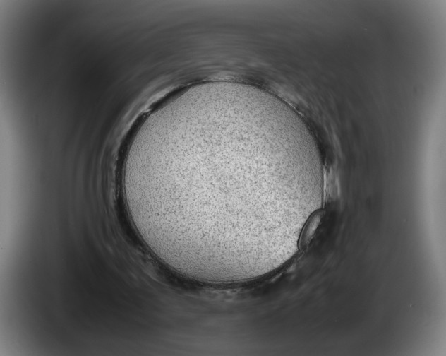 X0000086230291200704191806