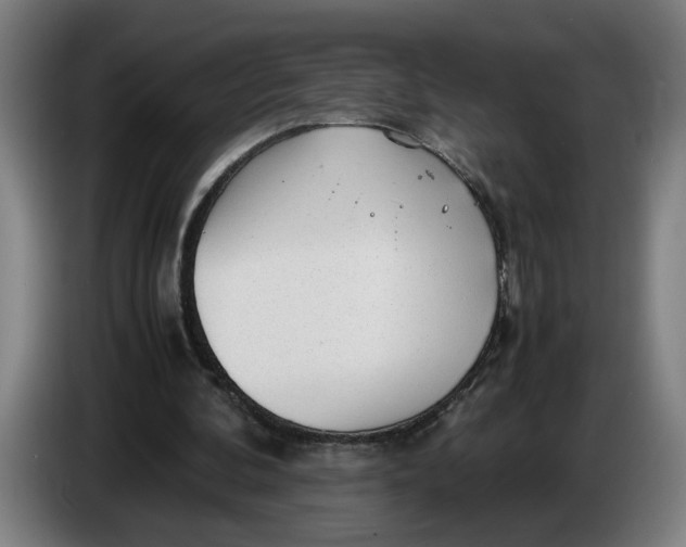 X0000086230292200704191806