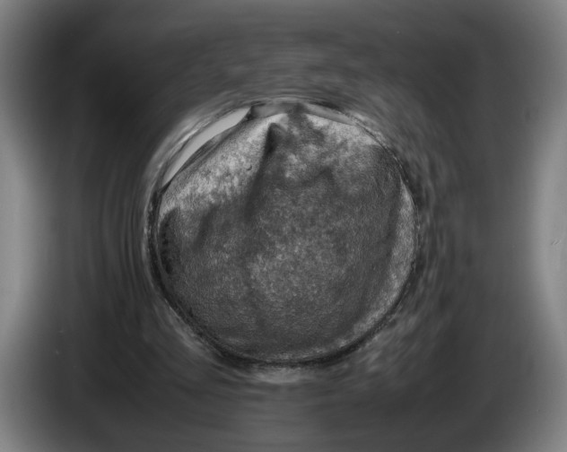 X0000086230293200704191806