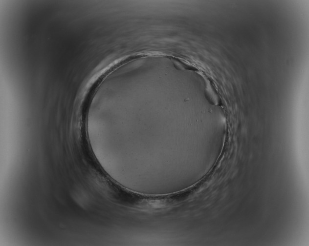 X0000086230295200704191805