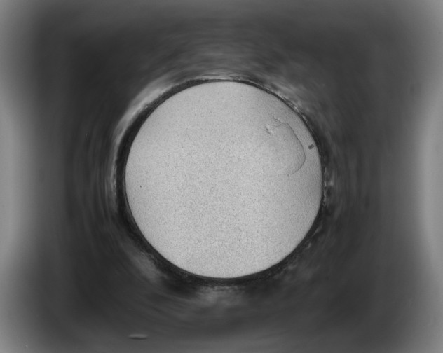 X0000086230296200704191805