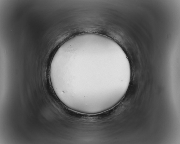 X0000086230299200704191805