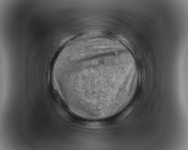 X0000086230301200704191805