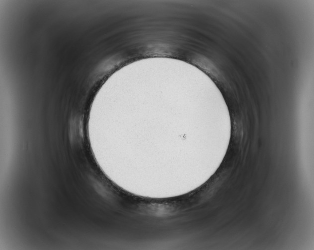 X0000086230302200704191805