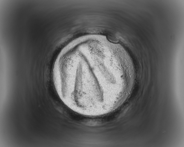 X0000086230303200704191805