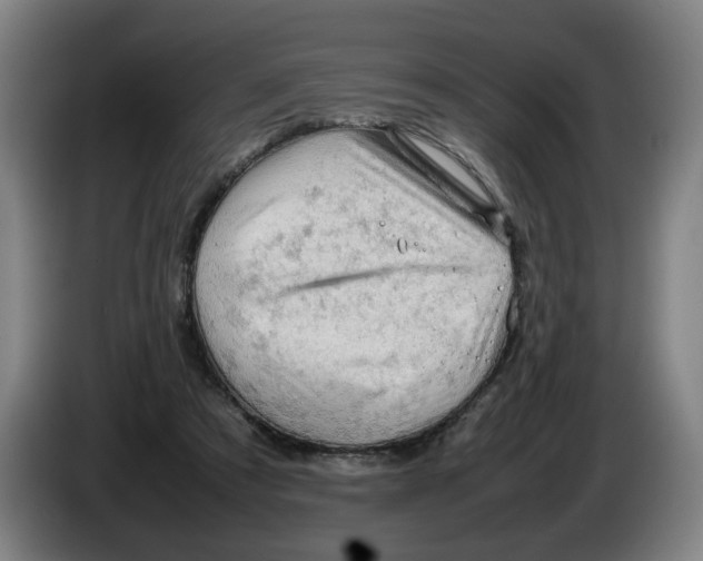 X0000086230305200704191805