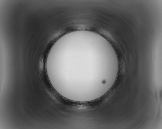 X0000086230310200704191805