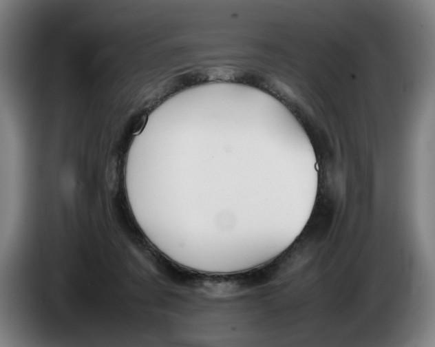 X0000086230311200704191805