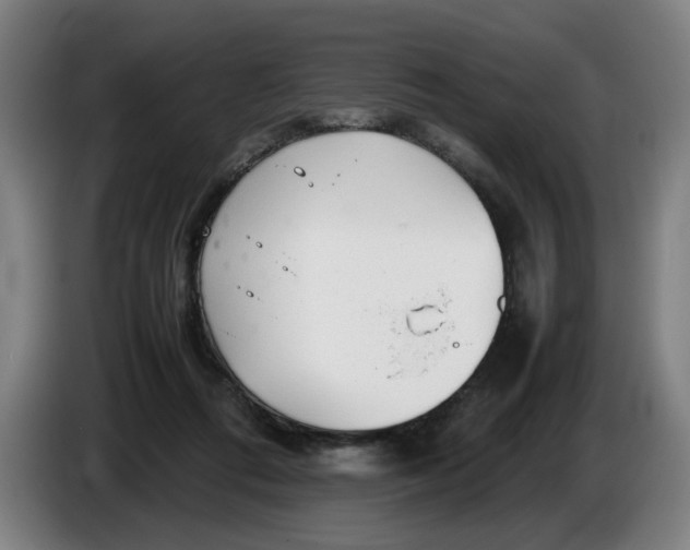 X0000086230312200704191805