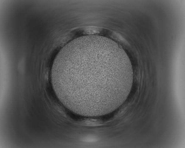 X0000086230315200704191805