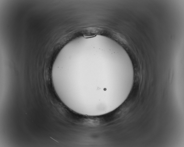 X0000086230317200704191805