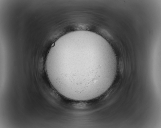 X0000086230318200704191805