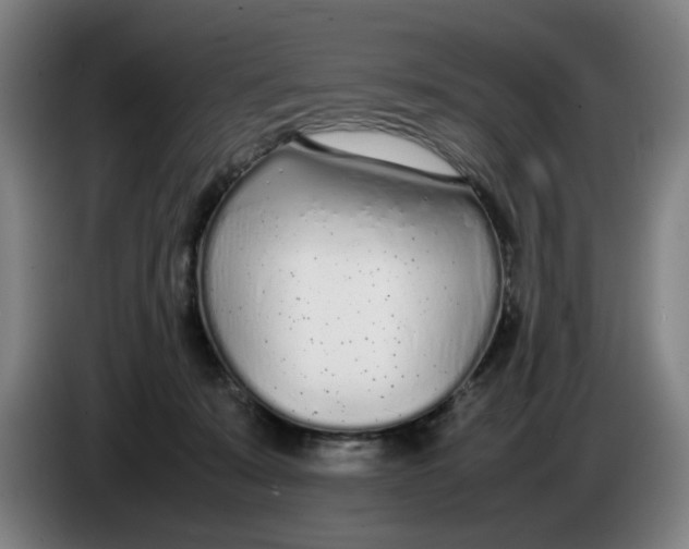 X0000086230319200704191805