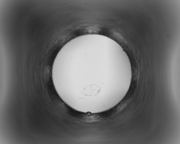 X0000086230321200704191805