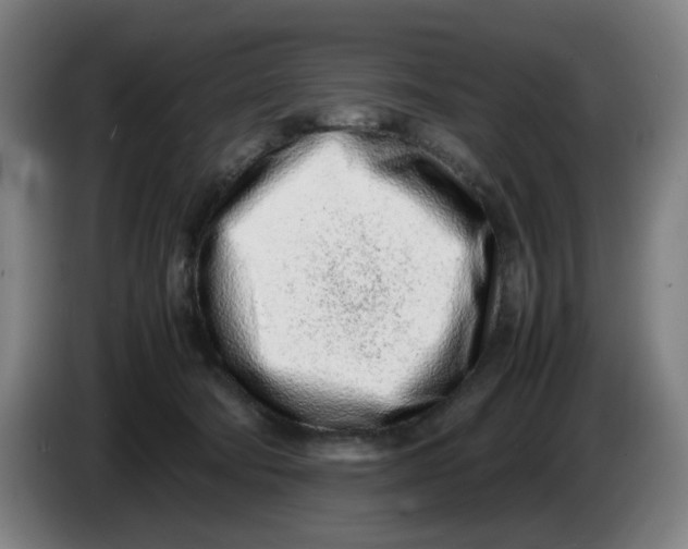 X0000086230322200704191805