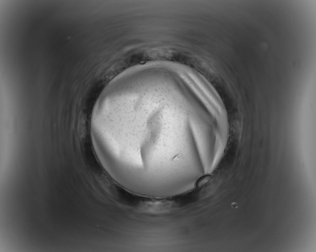 X0000086230323200704191805