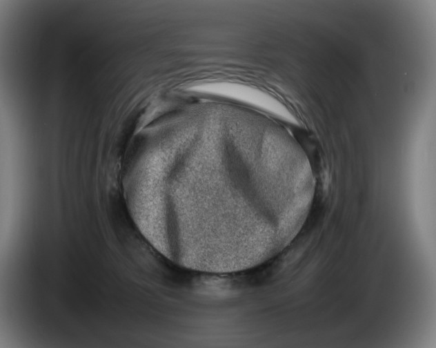 X0000086230325200704191805