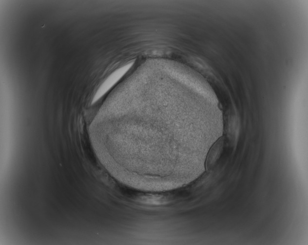 X0000086230326200704191805