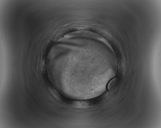 X0000086230327200704191805