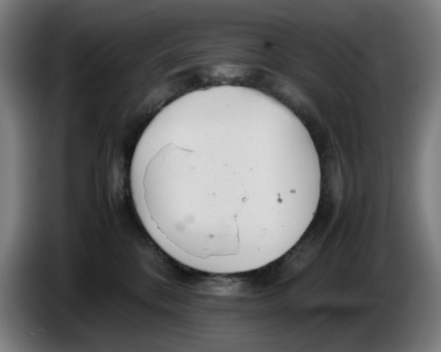 X0000086230328200704191805