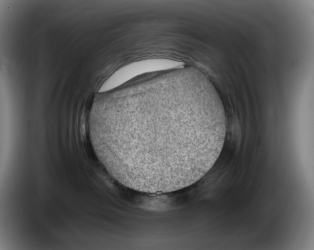 X0000086230334200704191805