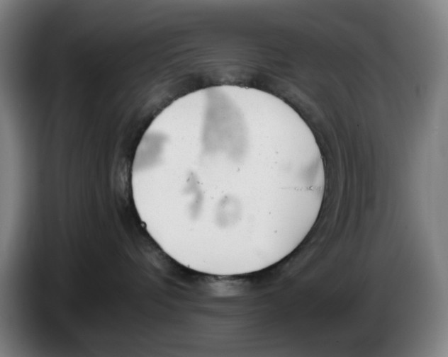 X0000086230336200704191805