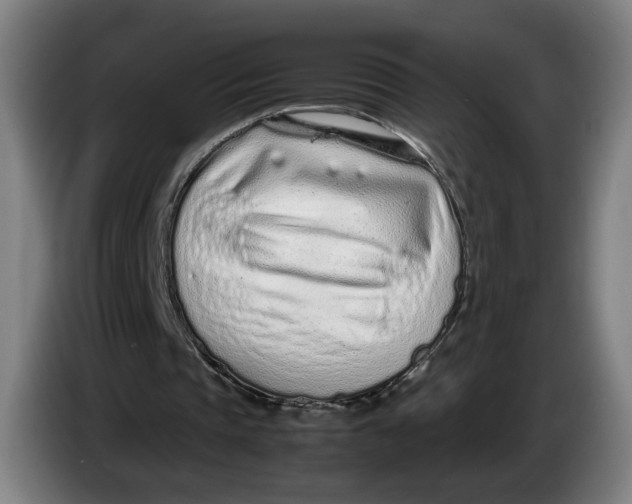 X0000086230337200704191804