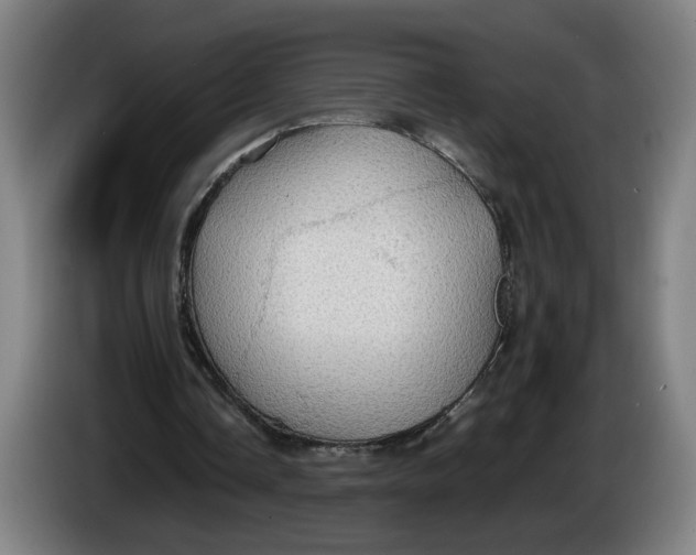 X0000086230338200704191804