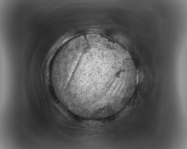 X0000086230339200704191804